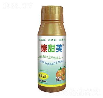 ���ٌ��� ������ ʢ��