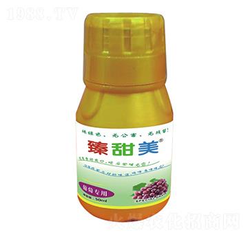 ���ь��� ������ ʢ��