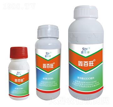 �ΰ��� ʢ����