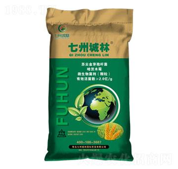 ��ʮ��С���������طN��-���ݳ���