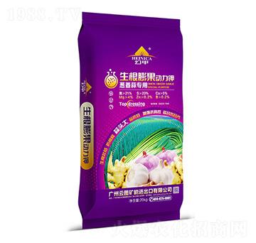 ������������-�ü�-�ƈD�V��