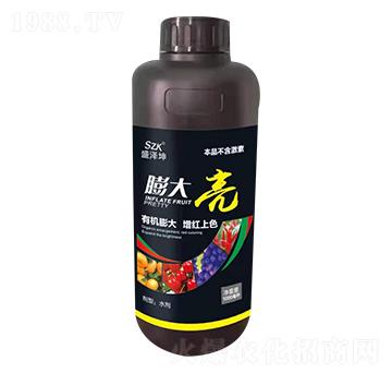 �����-ʢ����