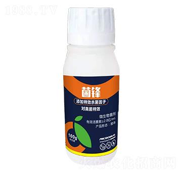 ΢�������-���h-ʢ����