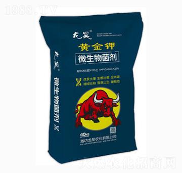 ΢�������-�S���-��껷ʘI(y��)