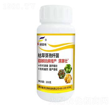 菇娘抗病增產(chǎn)肥-漯康壯