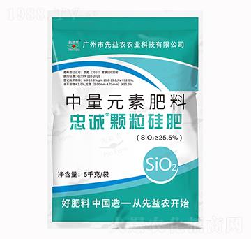 ����Ԫ�ط���-���\(ch��ng)�w��