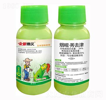 24%����ݬȥ��-���z�Нh-���˸�