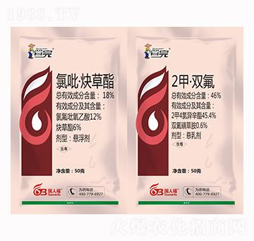 18%������Ȳ����+46%2���p��-����-���˸�