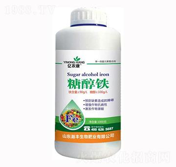 1000g�Ǵ��F-��S����