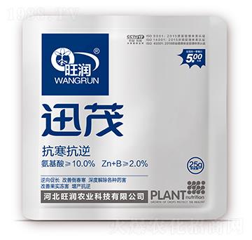 ��������-Ѹï-�����r