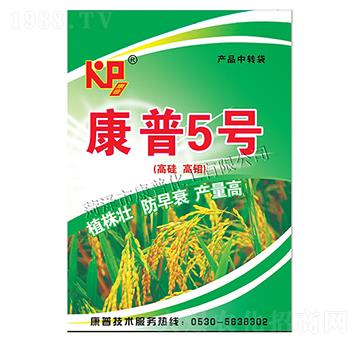 ����5̖(h��o)-���ջ���