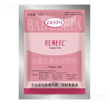 100�~���-��ؔ�t-����ؐ