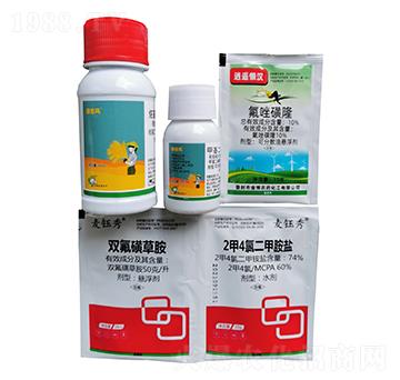 С�����݄��M��-�S�՘�(l��)