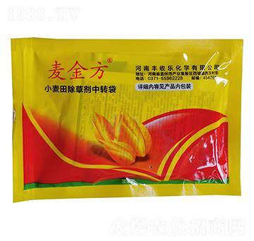 С�����݄����b-����-�S�՘�(l��)