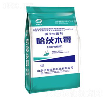 ˮ���Թ���ľù-�L(zh��ng)̩����