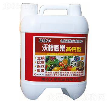 ���}���ָ����-���ǷʘI(y��)