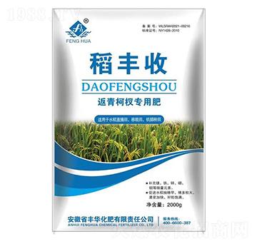 返青柯權(quán)專用肥-稻豐收-豐華化肥