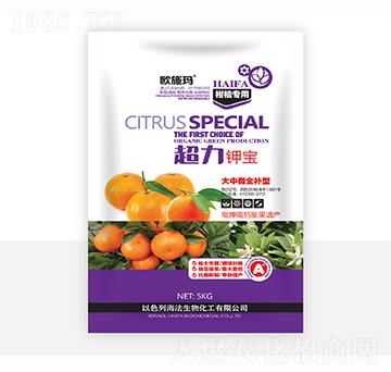 ����⛌�-һ������