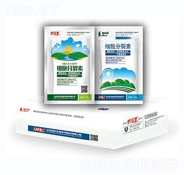 ��(x��)�������أ��У�-��(zh��n)܇(ch��)