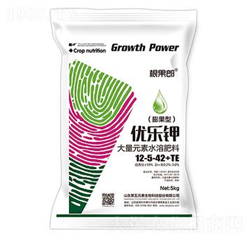 ��(y��u)��⛴���Ԫ��ˮ�ܷ���12-5-42+TE-������-����Ԫ��