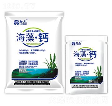 ���塤�}��-�պ�-����Ԫ��