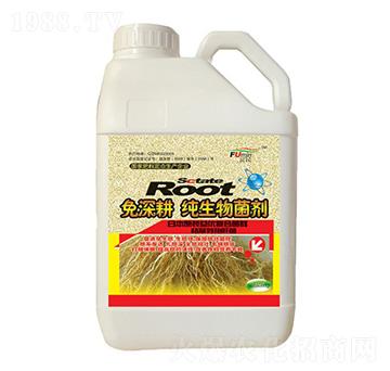 ��������������-���S����