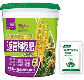 ˮ�������ͷ����辷�-һ���G-����Ԫ��