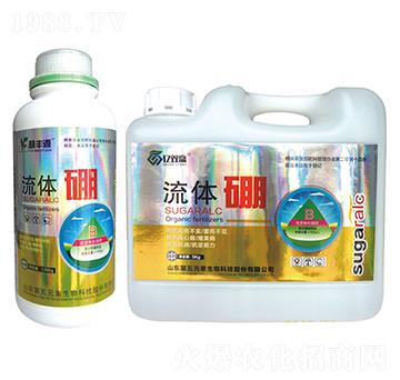 ���w��-�|�p�A-����Ԫ��