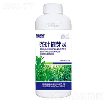 ���~��ѿ�`-��(l��)�|ʩ-�Z