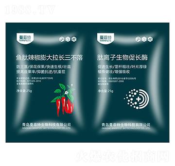 �~(y��)������������L(zh��ng)������