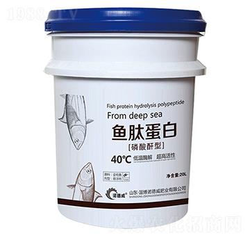 �~(y��)�ĵ���-�Z����