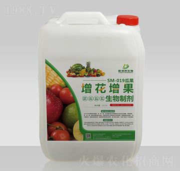 SM-019�Ϲ��������������Ƅ�-�ΰ�������