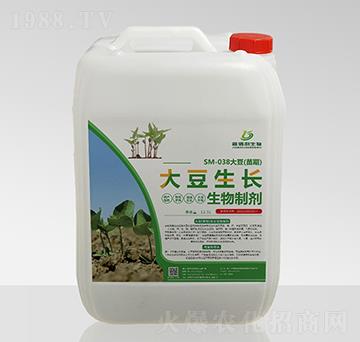 SM-038���������L�����Ƅ�-�ΰ�������