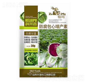 �ײ˸��{�����������a��-�欔-�ʰl(f��)����