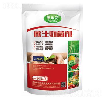 ΢�������-���׻�-�|������