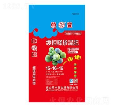 ��������ጓ������15