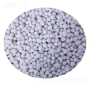 �w���ͺϷ���-���S