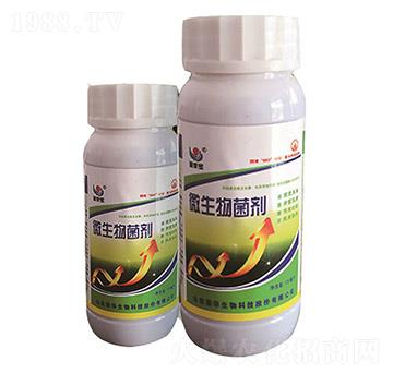 ΢�������-�s�A����