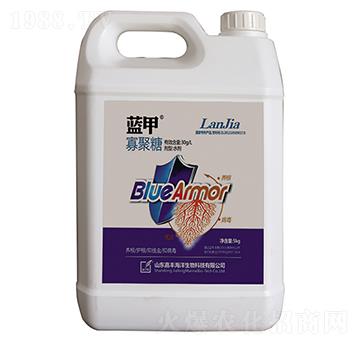 �{�ס��ߝ��Һ�w������-���S