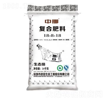 �ͺϷ���18-8-18-��Ų-����