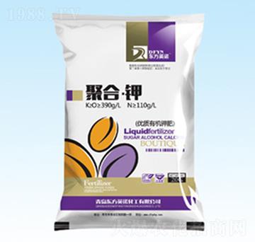 �ۺ��-�|��Ӣ�Z