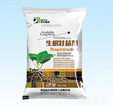 �������焩-�|��Ӣ�Z