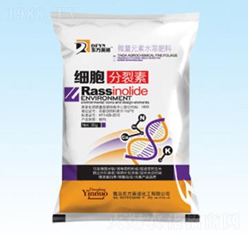 ����������-�|��Ӣ�Z