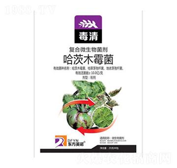 ����ľù��-����-�|��Ӣ�Z