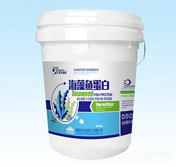 �����~����-�|��Ӣ�Z