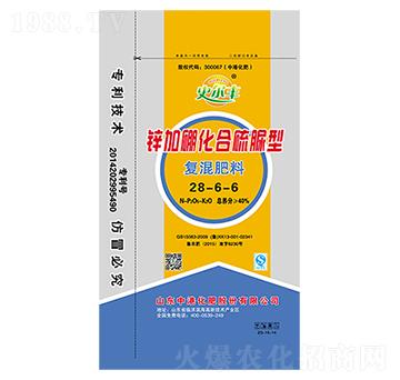 �\���𻯺������͏�(f��)���28-6-6-�иۻ���