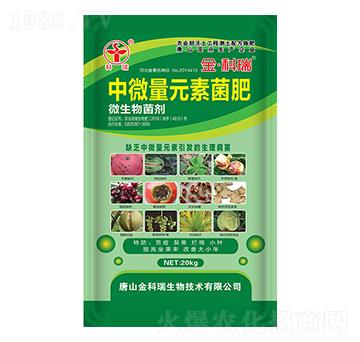 ��΢��Ԫ�ؾ���-�����