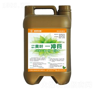 �S�~һ�_��-�����