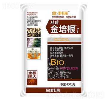 �����1̖-�����