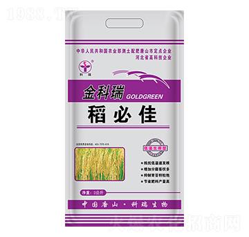 ���ؼ�-�����